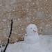 Bonhomme de neige à Jérusalem